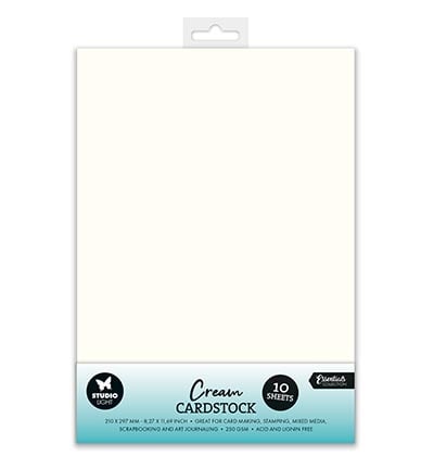 SL Paper set Consumables Cream Cardstock 250 gsm no.40