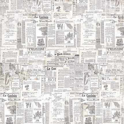 Rice Paper A5 Mixed 8/PKG Secret Garden