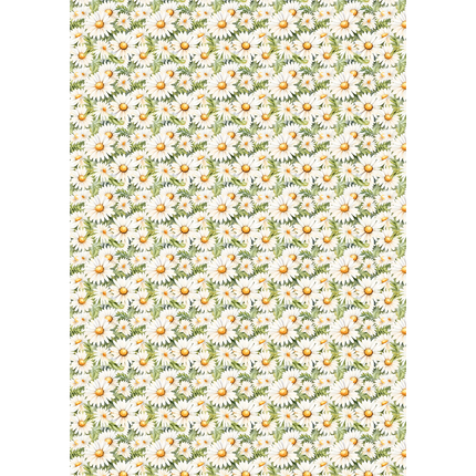 Rice Paper A5 Mixed 8/PKG Woodland Party