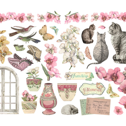 Ephemera - Orchids and Cats