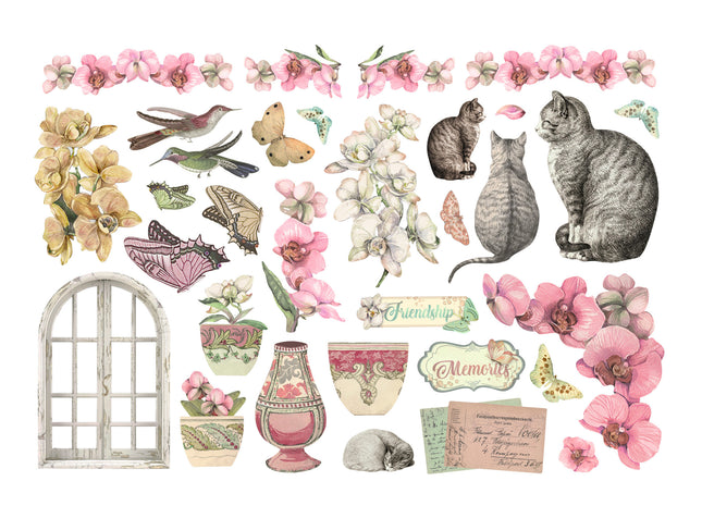 Ephemera - Orchids and Cats