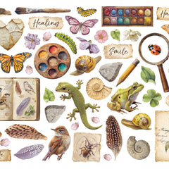 Collection image for: Die cuts