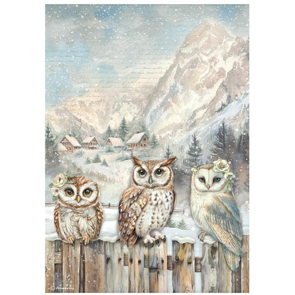 A4 Rice Paper Pack - The Owl's House 3 Owls
