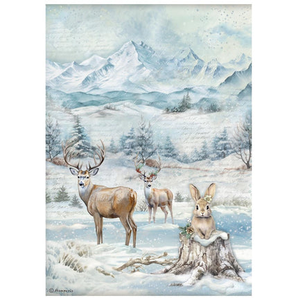 A4 Rice Paper Pack - The Owl's House Wildlife