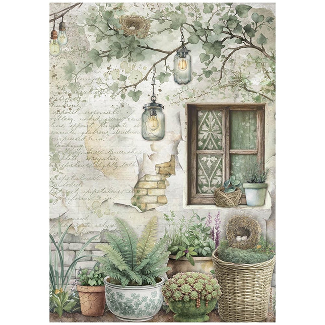 A4 Rice Paper Packed - Herbarium Silvae Window