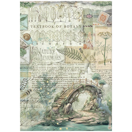 A4 Rice paper pack - Herbarium Silvae bridge