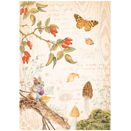 A4 Rice paper packed - Woodland butterfly