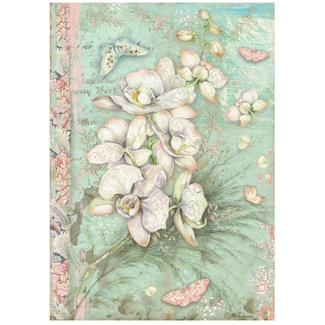 A4 Rice paper pack - Orchids and Cats white orchid