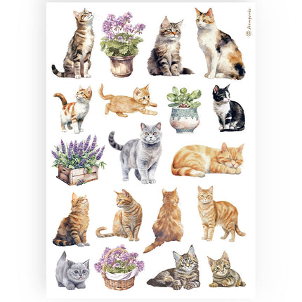A4 Rice Paper Pack - Cats