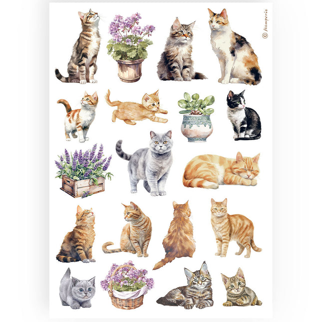 A4 Rice Paper Pack - Cats