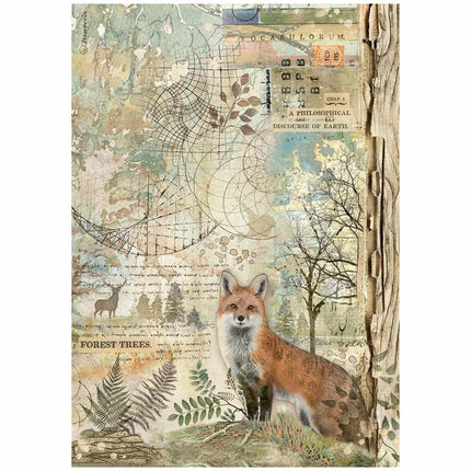 A4 Rice paper pack - Forest fox