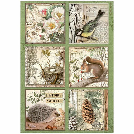 A4 Rice paper pack - Forest 6 cards