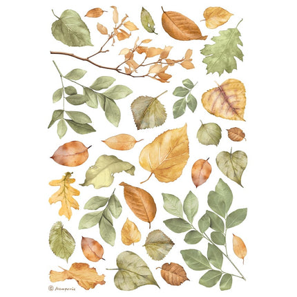 A4 Rice paper pack - Leaves