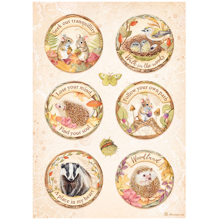 Selection 6 Rice paper A4 - Woodland