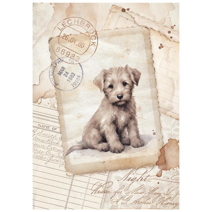 Mini Rice paper A6 8 sheets Quiet Days