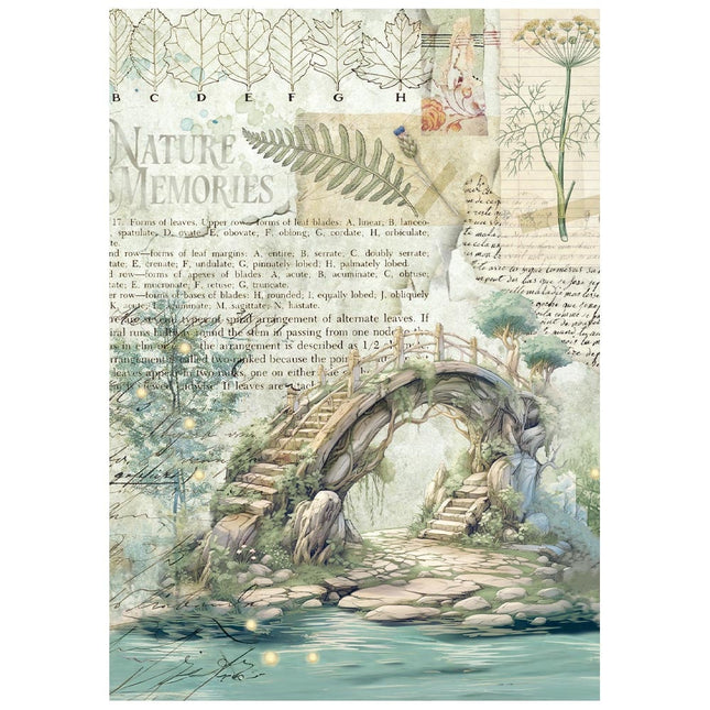 Mini Rice paper A6 8 sheets Herbarium Silvae