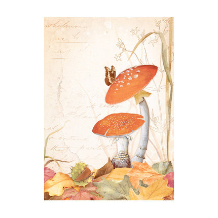 Selection 8 Rice paper A6 backgrounds - Woodland
