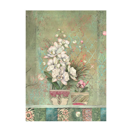 Selection 8 Rice paper A6 backgrounds - Orchids and Cats