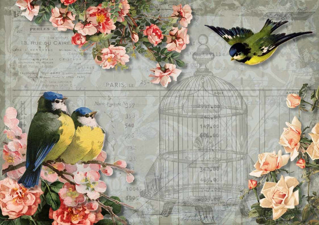 Chickadees and Roses with Birdcage A3Chickadees and Roses with Birdcage A3