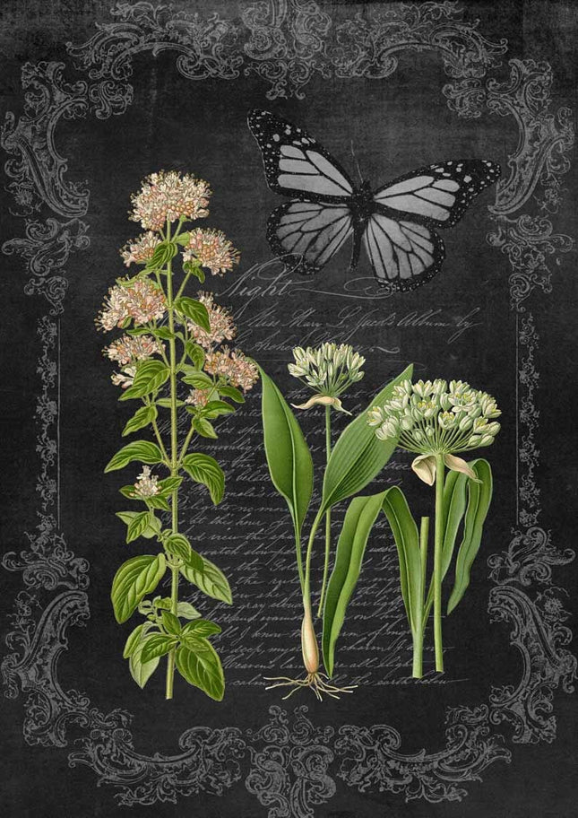 Oregano and Garlic Chalkboard A4Oregano and Garlic Chalkboard A4