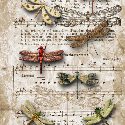 Dragonflies on SheetMusic A4Dragonflies on SheetMusic A4