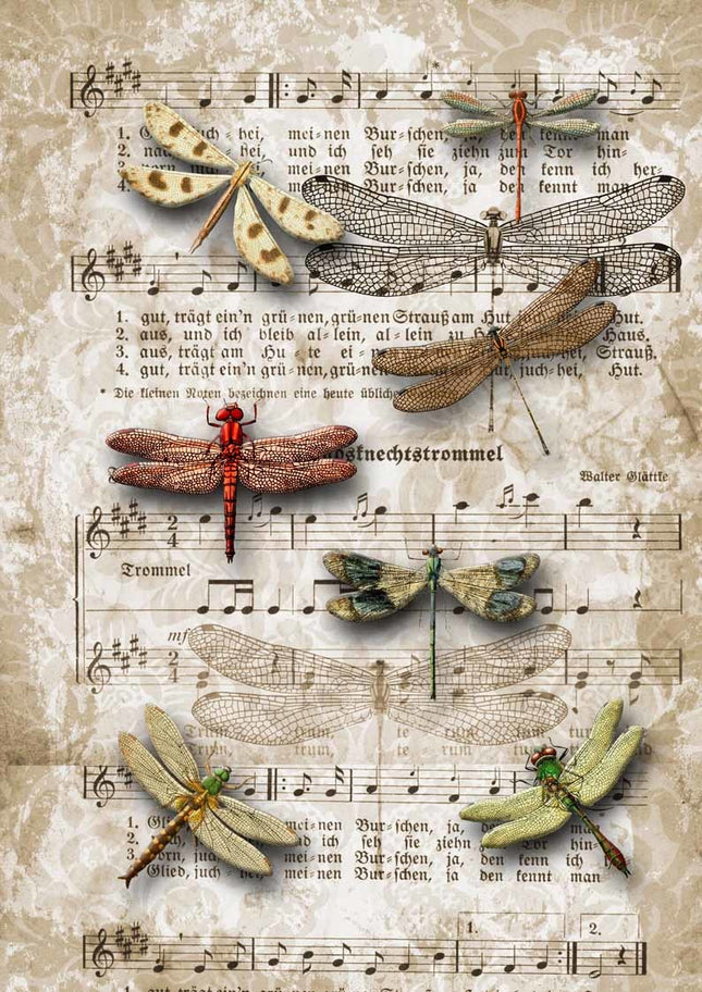 Dragonflies on SheetMusic A3Dragonflies on SheetMusic A3