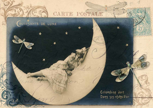 Lady on the Moon A4Lady on the Moon A4