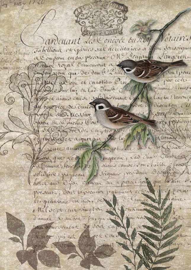 Birds on a Branch A3Birds on a Branch A3