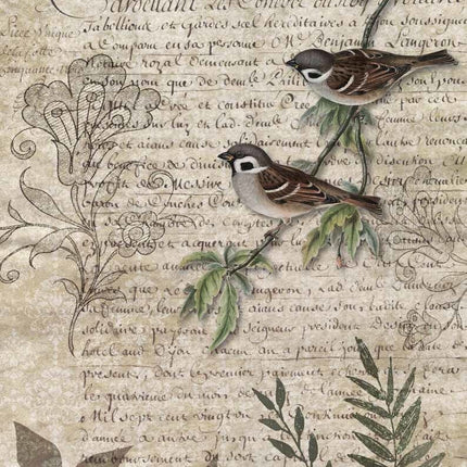Birds on a Branch A4Birds on a Branch A4