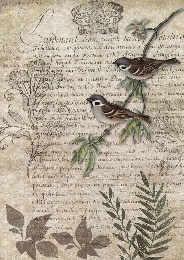 Birds on a Branch A4Birds on a Branch A4