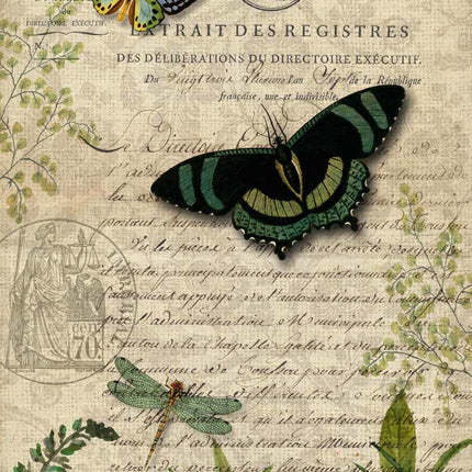 Butterfly Botanical A3Butterfly Botanical A3