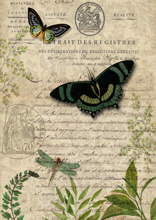 Butterfly Botanical A3Butterfly Botanical A3