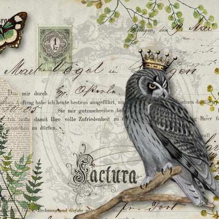 Owl Botanicals A3Owl Botanicals A3