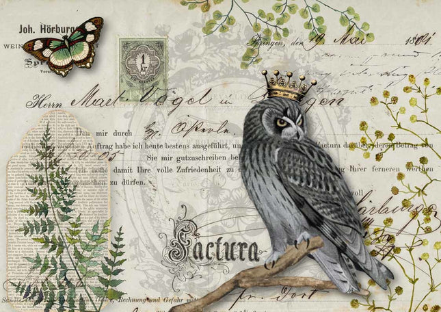 Owl Botanicals A3Owl Botanicals A3