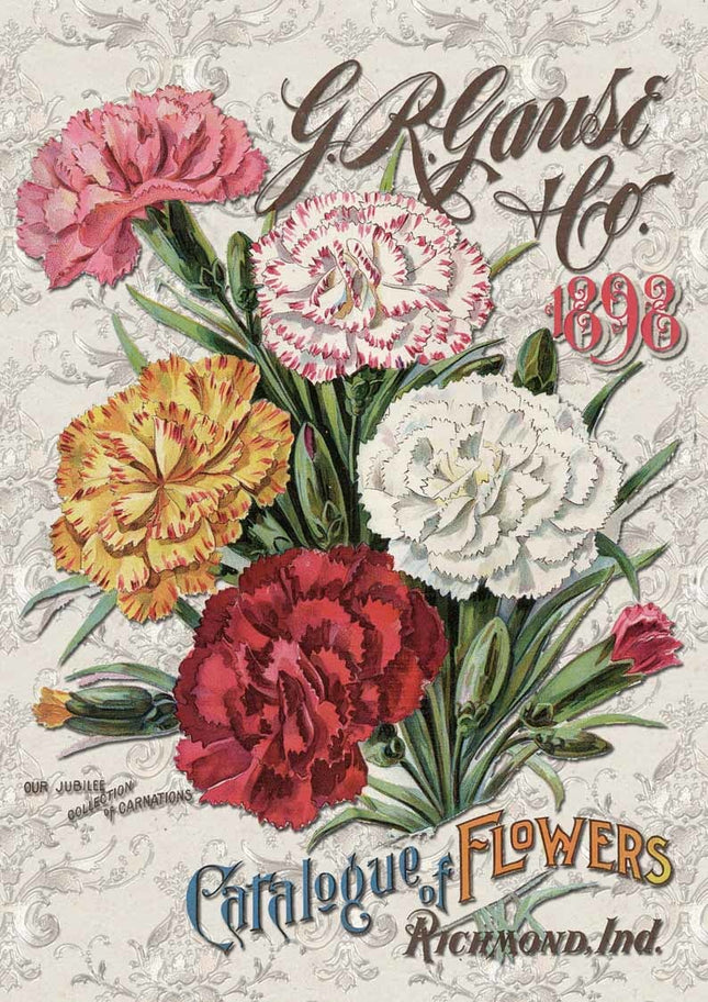 Carnation Catalog A3Carnation Catalog A3