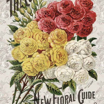 Roses Catalog A3