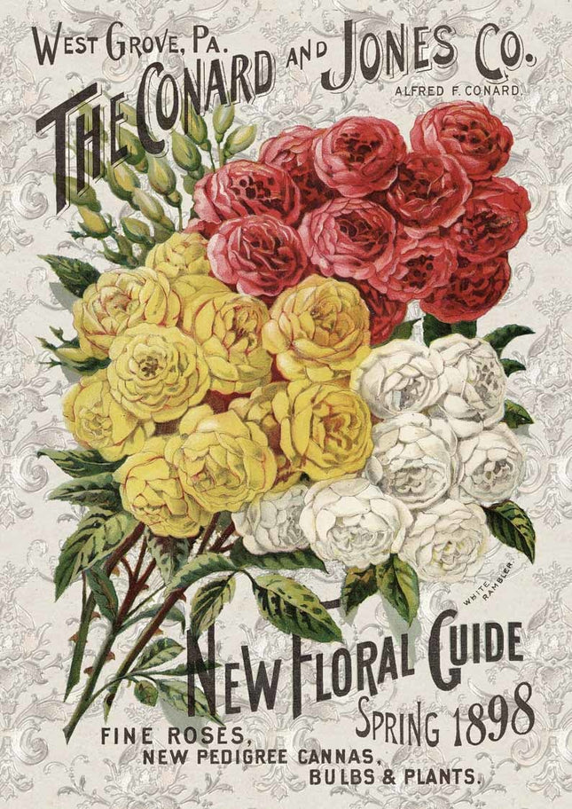 Roses Catalog A3