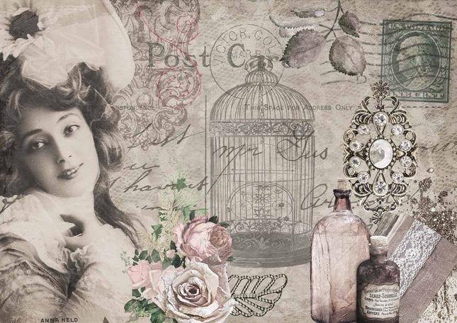 Anna's Postcard