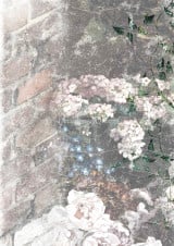Dainty and the Queen - Faded A4