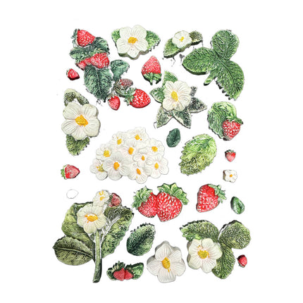 Silicone mold A5 - Hidden Grove strawberries