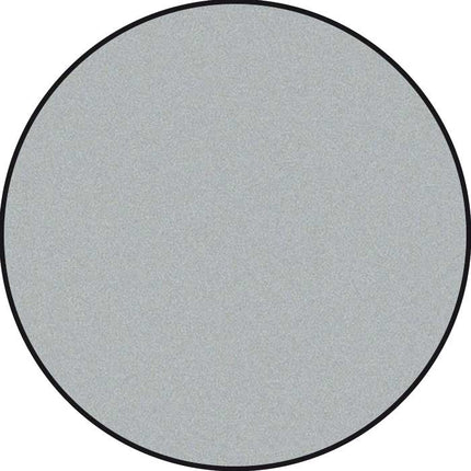 Allegro paint 59 ml.silver