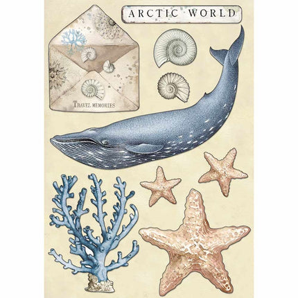 Colored Wooden shape A5 - Arctic world