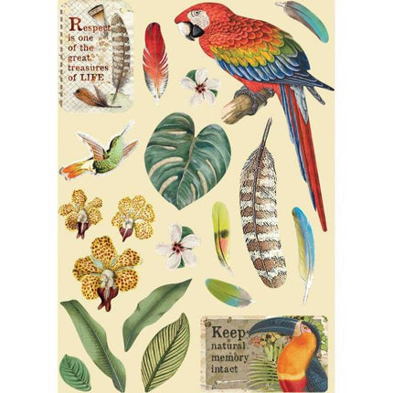 Colored Wooden frame A5 - Amazonia parrot