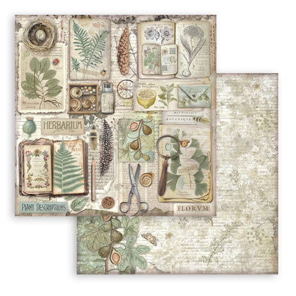 Paper Pad 30.5x30.5 cm - 10 Sheets - Herbarium Silvae